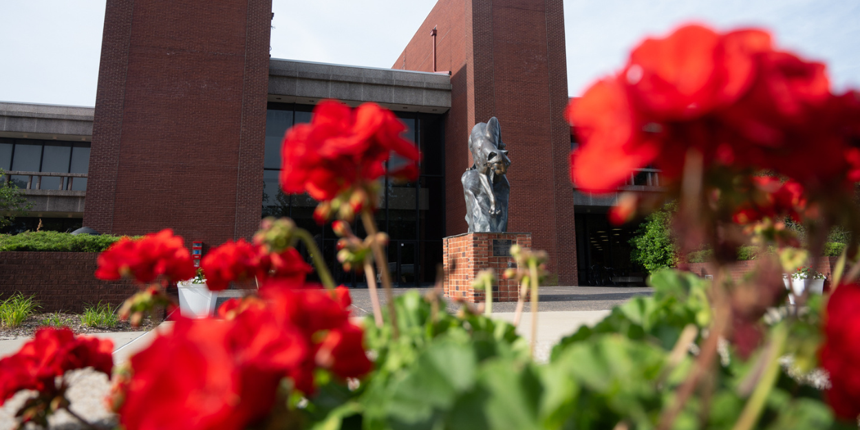 Students at SIUE walking on the Stratton Quadrangle during a fall at mid-day.